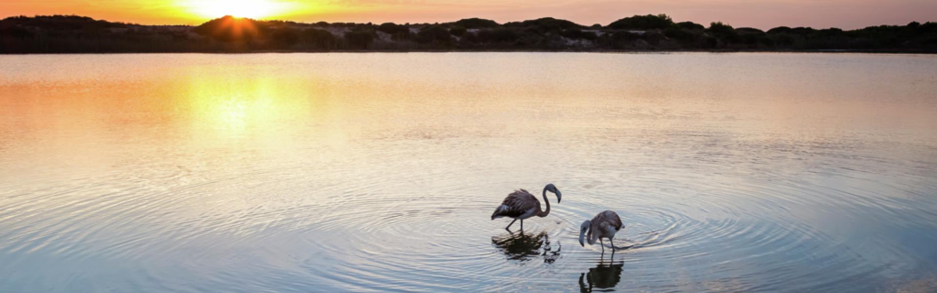 Albufera Valencia