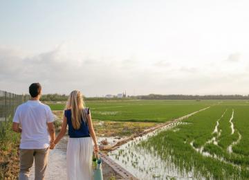 Albufera de valencia