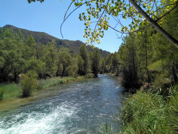 Rio Cabriel