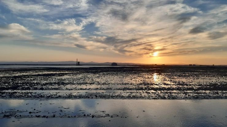 Albufera de Valencia