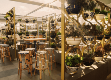 detalle plantas y terraza en átic palau alameda