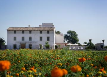 edificio exterior y huerta del hotel la mozaira