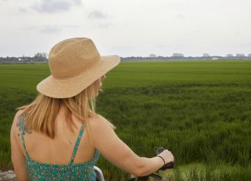 En bici por arrozales