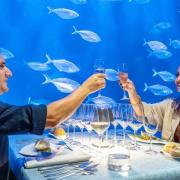 Ven a cenar a un restaurante submarino a València