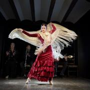 la buleria mujer bailando