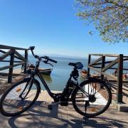 Bicicleta en un embarcadero de la Albufera