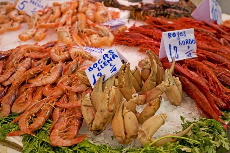 mercado central expositor de marisco