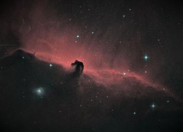 Nebulosa caballo