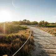 Playa el Saler Abufera