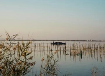 Parque Natural de l'Albufera