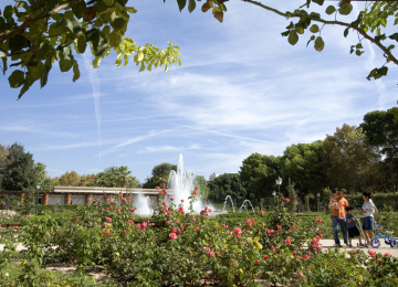 Jardines Del Real - Jardines De Viveros